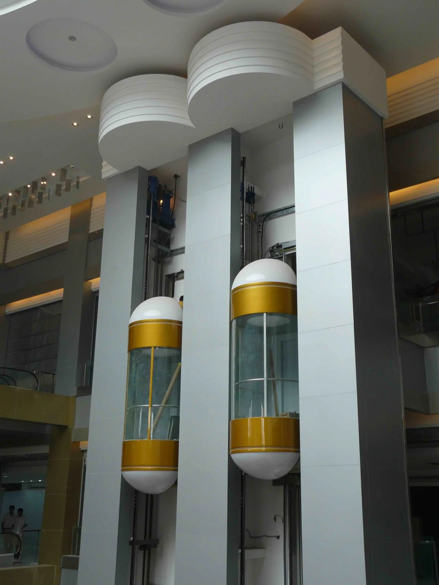Capsule Elevator